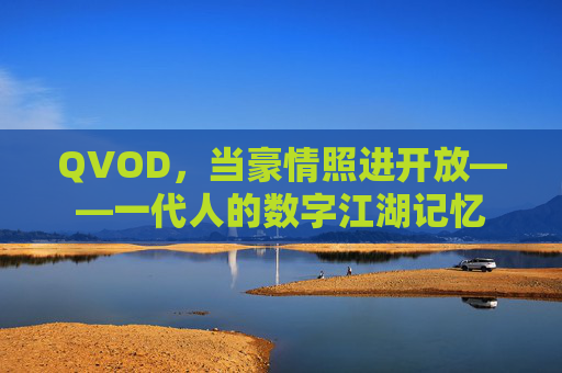 QVOD,当豪情照进开放——一代人的数字江湖记忆 QVOD,当豪情照进开放——一代人的数字江湖记忆