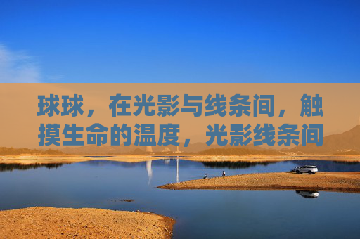 球球,在光影与线条间,触摸生命的温度,光影线条间,触摸生命温度 球球,在光影与线条间,触摸生命的温度,光影线条间,触摸生命温度