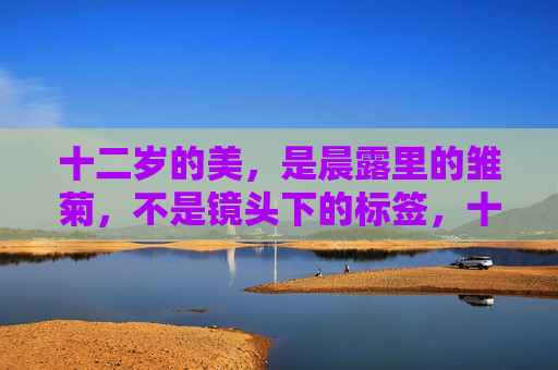 十二岁的美，是晨露里的雏菊，不是镜头下的标签，十二岁的美，晨露雏菊，非镜头标签