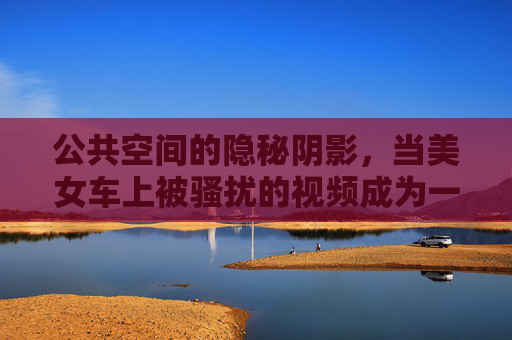 公共空间的隐秘阴影，当美女车上被骚扰的视频成为一面镜子，公共空间骚扰视频，照见隐秘阴影的镜子