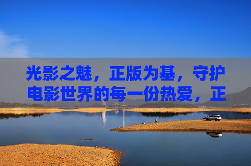 光影之魅，正版为基，守护电影世界的每一份热爱，正版为基，光影守护每一份热爱