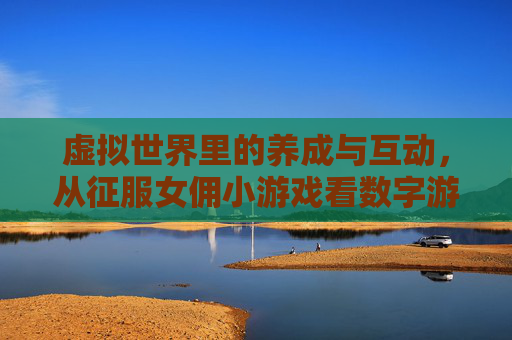 虚拟世界里的养成与互动，从征服女佣小游戏看数字游戏的多元表达，从征服女佣看虚拟养成互动的多元表达