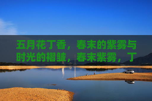 五月花丁香,春末的紫雾与时光的褶皱,春末紫雾,丁香的时光褶皱 五月花丁香,春末的紫雾与时光的褶皱,春末紫雾,丁香的时光褶皱