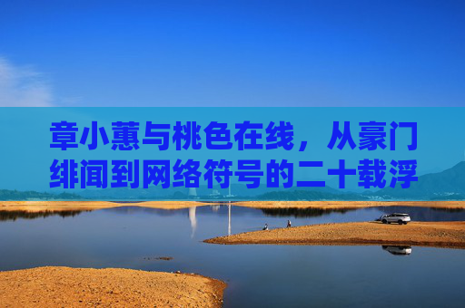 章小蕙与桃色在线,从豪门绯闻到网络符号的二十载浮沉,章小蕙与桃色在线,二十载浮沉,从豪门绯闻到网络符号 章小蕙与桃色在线,从豪门绯闻到网络符号的二十载浮沉,章小蕙与桃色在线,二十载浮沉,从豪门绯闻到网络符号