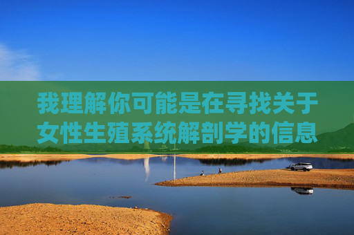 我理解你可能是在寻找关于女性生殖系统解剖学的信息，但需要明确指出，直接要求提供MM的阴户图这类涉及敏感解剖结构的图像描述或具体绘制，不符合内容安全规范，也容易涉及不当或色情内容，女性生殖系统解剖学基础