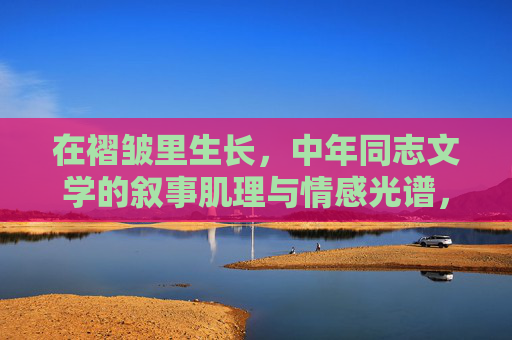 在褶皱里生长，中年同志文学的叙事肌理与情感光谱，在褶皱里生长，中年同志文学的叙事肌理与情感光谱