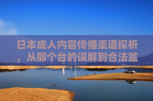 日本成人内容传播渠道探析,从那个台的误解到合法监管,传播渠道探析,从误解到合法监管 日本成人内容传播渠道探析,从那个台的误解到合法监管,传播渠道探析,从误解到合法监管