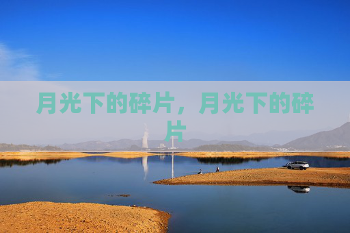 月光下的碎片,月光下的碎片 月光下的碎片,月光下的碎片