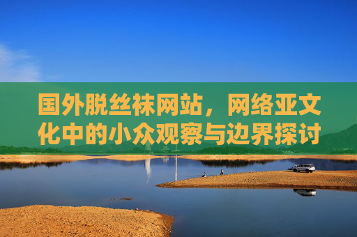国外脱丝袜网站，网络亚文化中的小众观察与边界探讨，国外脱丝袜网站，网络亚文化的小众观察与边界探讨