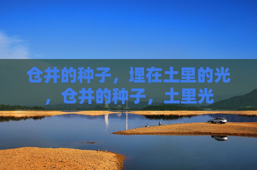仓井的种子,埋在土里的光,仓井的种子,土里光 仓井的种子,埋在土里的光,仓井的种子,土里光