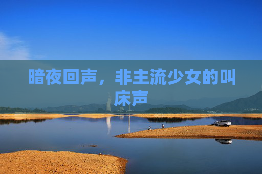 暗夜回声,非主流少女的叫床声 暗夜回声,非主流少女的叫床声