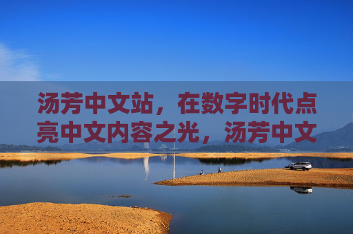 汤芳中文站，在数字时代点亮中文内容之光，汤芳中文站，数字时代点亮中文内容之光