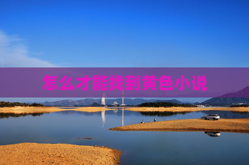 怎么才能找到黄色小说 怎么才能找到黄色小说