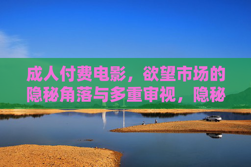 成人付费电影，欲望市场的隐秘角落与多重审视，隐秘欲望市场，成人付费电影的多重审视