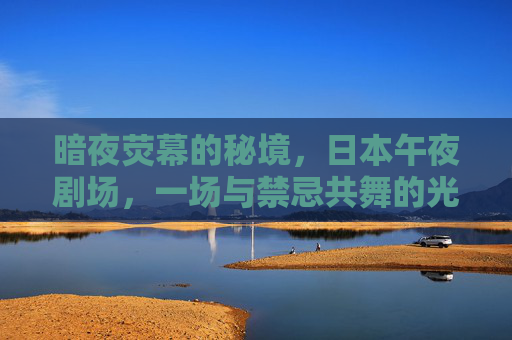 暗夜荧幕的秘境，日本午夜剧场，一场与禁忌共舞的光影狂欢，暗夜荧幕秘境，日本午夜剧场禁忌光影狂欢