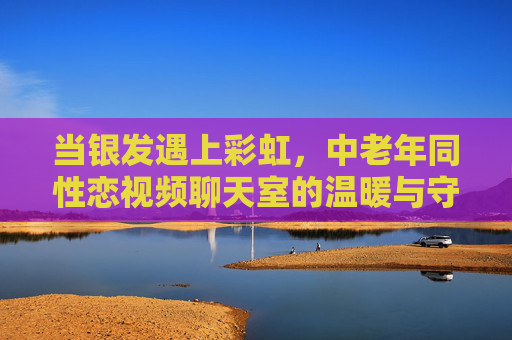 当银发遇上彩虹，中老年同性恋视频聊天室的温暖与守望，银发遇上彩虹，中老年同性恋视频聊天室的温暖守望
