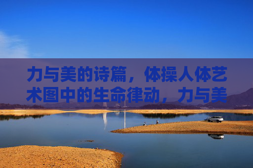 力与美的诗篇,体操人体艺术图中的生命律动,力与美的生命律动,体操人体艺术诗篇 力与美的诗篇,体操人体艺术图中的生命律动,力与美的生命律动,体操人体艺术诗篇