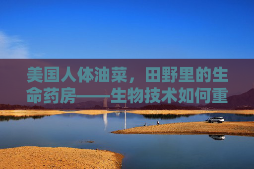 美国人体油菜，田野里的生命药房——生物技术如何重塑油菜与人体健康的未来，人体油菜，生物技术重塑田野生命药房与健康未来