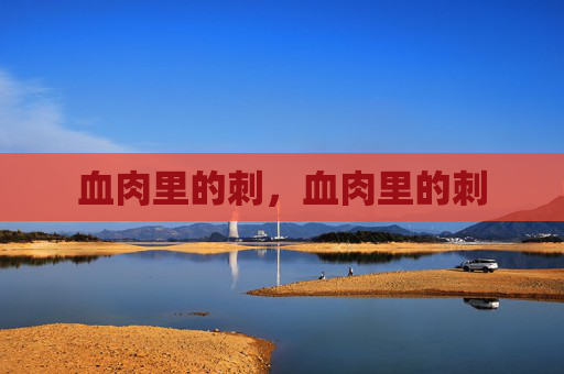 血肉里的刺,血肉里的刺 血肉里的刺,血肉里的刺