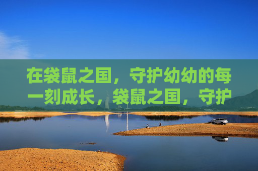 在袋鼠之国,守护幼幼的每一刻成长,袋鼠之国,守护幼幼的每一刻成长 在袋鼠之国,守护幼幼的每一刻成长,袋鼠之国,守护幼幼的每一刻成长