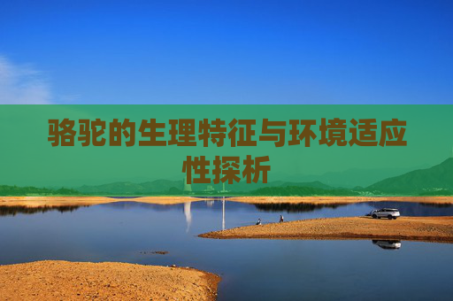 骆驼的生理特征与环境适应性探析 骆驼的生理特征与环境适应性探析