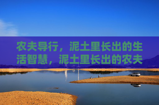 农夫导行，泥土里长出的生活智慧，泥土里长出的农夫智慧