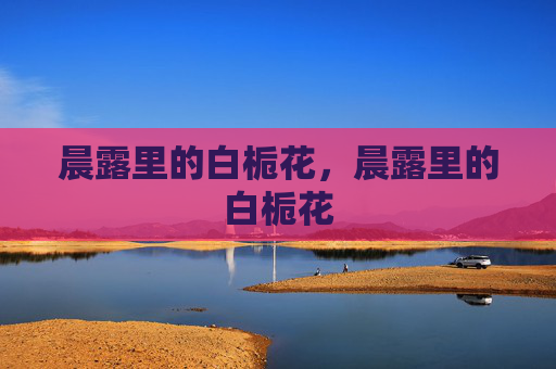 晨露里的白栀花,晨露里的白栀花 晨露里的白栀花,晨露里的白栀花
