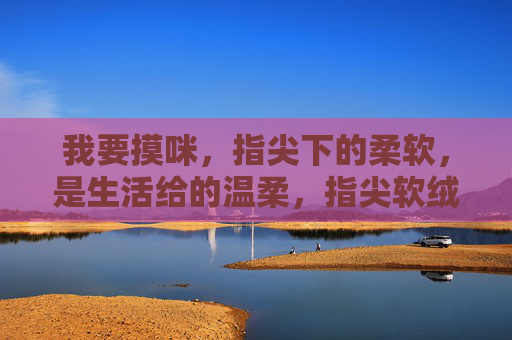 我要摸咪,指尖下的柔软,是生活给的温柔,指尖软绒,生活温柔 我要摸咪,指尖下的柔软,是生活给的温柔,指尖软绒,生活温柔