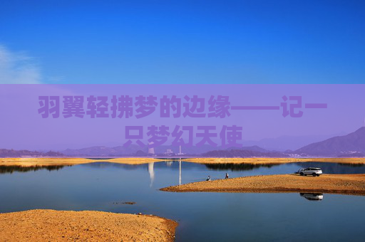 羽翼轻拂梦的边缘——记一只梦幻天使 羽翼轻拂梦的边缘——记一只梦幻天使