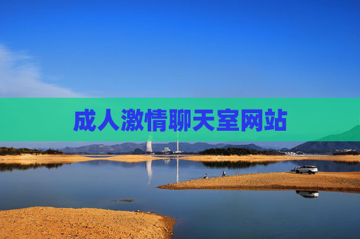 成人激情聊天室网站