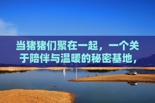 当猪猪们聚在一起,一个关于陪伴与温暖的秘密基地,温暖陪伴的猪猪秘密基地 当猪猪们聚在一起,一个关于陪伴与温暖的秘密基地,温暖陪伴的猪猪秘密基地