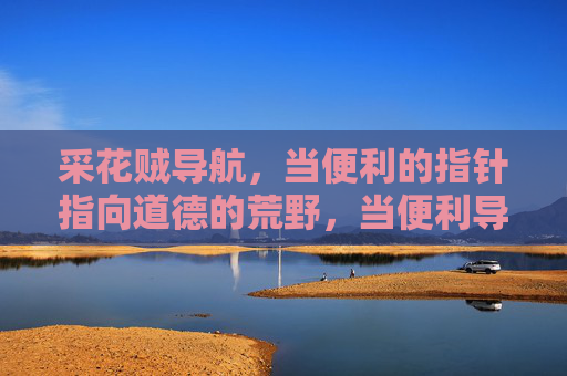 采花贼导航,当便利的指针指向道德的荒野,当便利导航指向道德的荒野 采花贼导航,当便利的指针指向道德的荒野,当便利导航指向道德的荒野