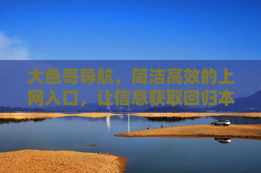 大色哥导航，简洁高效的上网入口，让信息获取回归本质，大色哥导航，简洁高效，信息获取回归本质
