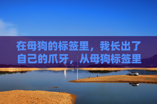在母狗的标签里,我长出了自己的爪牙,从母狗标签里,长出爪牙 在母狗的标签里,我长出了自己的爪牙,从母狗标签里,长出爪牙