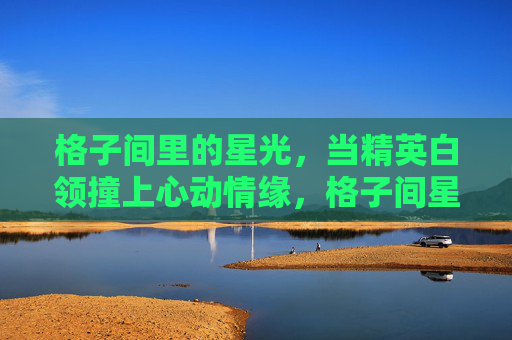 格子间里的星光,当精英白领撞上心动情缘,格子间星光,精英白领撞上心动情缘 格子间里的星光,当精英白领撞上心动情缘,格子间星光,精英白领撞上心动情缘