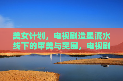 美女计划,电视剧造星流水线下的审美与突围,电视剧造星流水线下的美女计划,审美困境与突围 美女计划,电视剧造星流水线下的审美与突围,电视剧造星流水线下的美女计划,审美困境与突围
