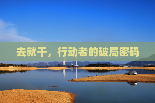 去就干，行动者的破局密码