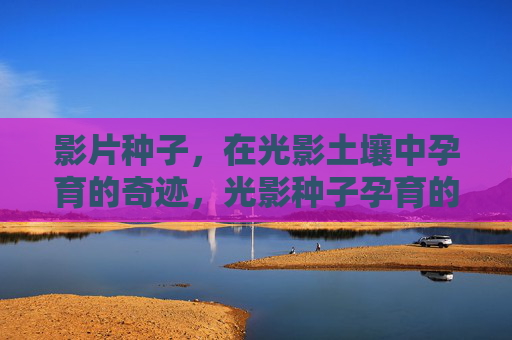 影片种子，在光影土壤中孕育的奇迹，光影种子孕育的奇迹