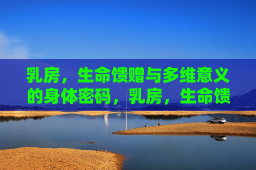 乳房,生命馈赠与多维意义的身体密码,乳房,生命馈赠与多维意义的身体密码 乳房,生命馈赠与多维意义的身体密码,乳房,生命馈赠与多维意义的身体密码