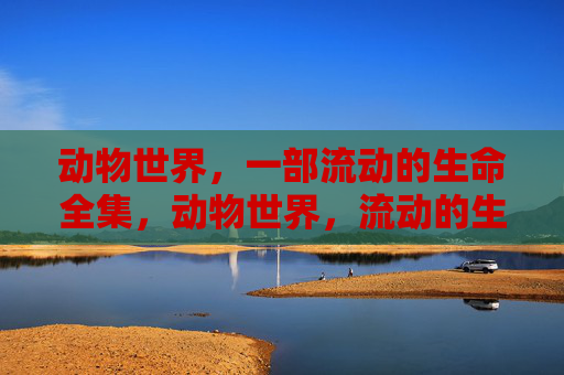 动物世界,一部流动的生命全集,动物世界,流动的生命全集 动物世界,一部流动的生命全集,动物世界,流动的生命全集