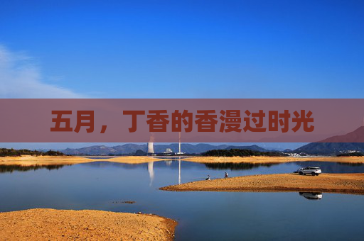 五月,丁香的香漫过时光 五月,丁香的香漫过时光