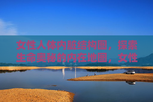 女性人体内脏结构图,探索生命奥秘的内在地图,女性人体内脏结构图,探索生命奥秘的内在地图 女性人体内脏结构图,探索生命奥秘的内在地图,女性人体内脏结构图,探索生命奥秘的内在地图
