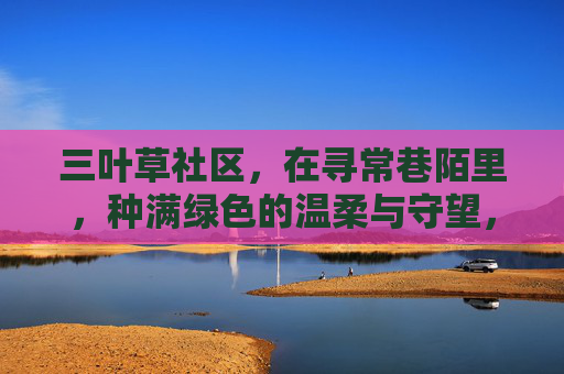 三叶草社区，在寻常巷陌里，种满绿色的温柔与守望，三叶草社区，巷陌里的温柔守望
