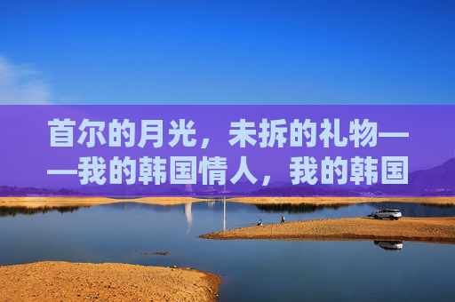 首尔的月光,未拆的礼物——我的韩国情人,我的韩国情人,首尔的月光与未拆的礼物 首尔的月光,未拆的礼物——我的韩国情人,我的韩国情人,首尔的月光与未拆的礼物