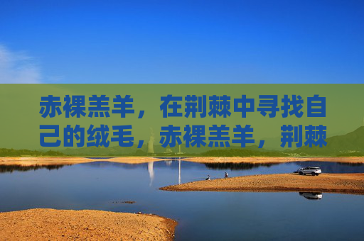 赤裸羔羊,在荆棘中寻找自己的绒毛,赤裸羔羊,荆棘寻绒 赤裸羔羊,在荆棘中寻找自己的绒毛,赤裸羔羊,荆棘寻绒