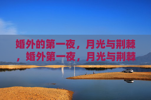 婚外的第一夜，月光与荆棘，婚外第一夜，月光与荆棘