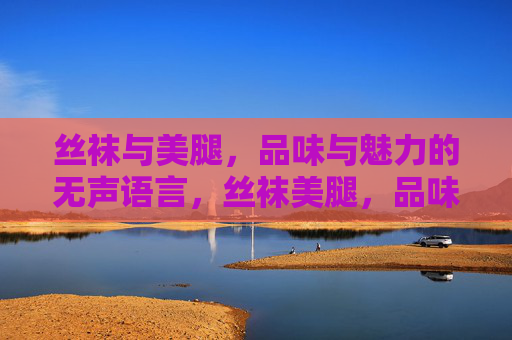 丝袜与美腿，品味与魅力的无声语言，丝袜美腿，品味魅力的无声语言