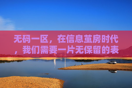 无码一区，在信息茧房时代，我们需要一片无保留的表达净土，无码一区，信息茧房时代的表达净土