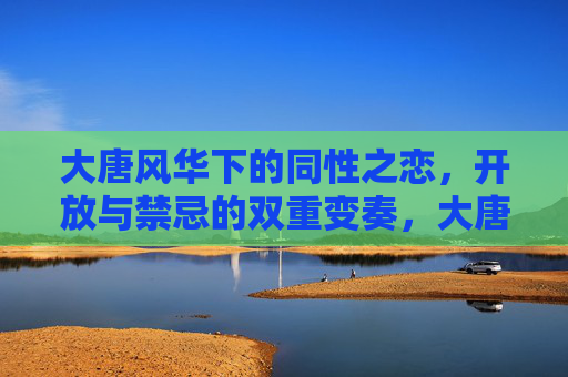 大唐风华下的同性之恋，开放与禁忌的双重变奏，大唐风华下的同性之恋，开放与禁忌的双重变奏