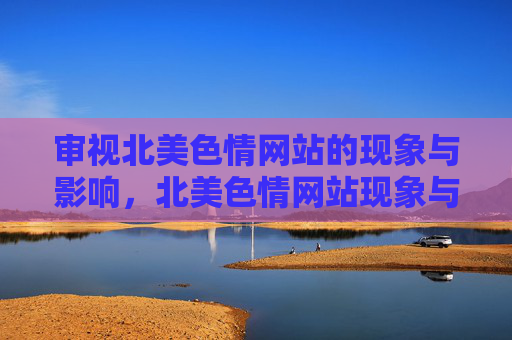 审视北美色情网站的现象与影响，北美色情网站现象与影响审视